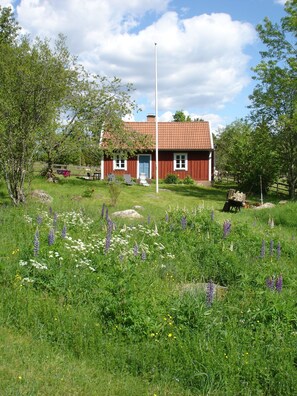 Overnattingsstedets uteområder