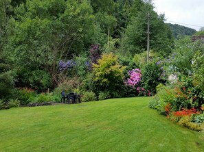 Rear garden and patio