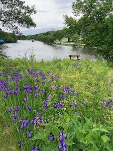 Cabin Cove by the River