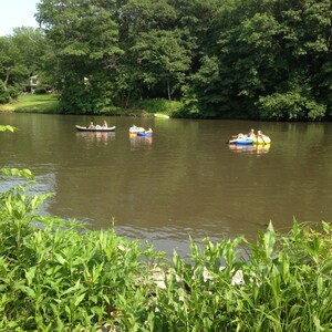 Cabin Cove by the River