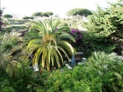  The Garden of Villa Anna, View Room Capri 