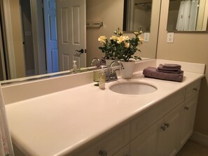 bathroom- sparkling clean