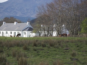 General view of cottages 