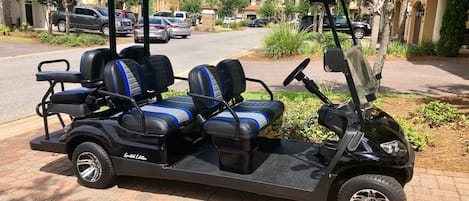 Brand New Deluxe 6 Seat Golf Cart