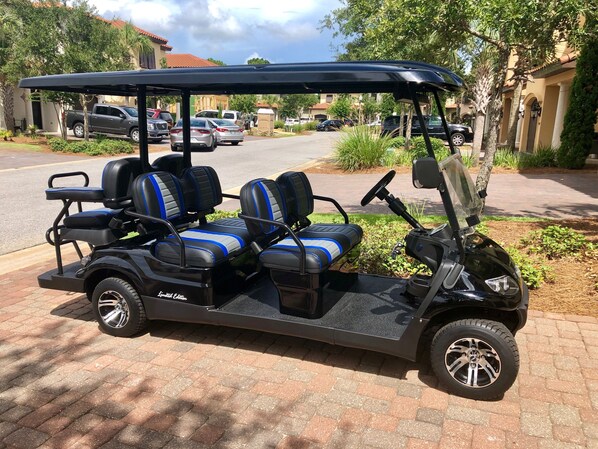 Deluxe 6 Seat Golf Cart