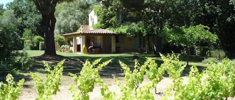 House from our vineyard