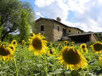 Komfortabel, schön, Wohnung, herrlicher Blick über die grünen Hügel Umbriens und Assisi