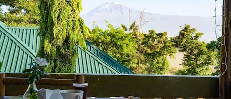 Mountain Kilimanjaro View from our restaurant.