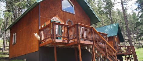 Cabin #3 and #4