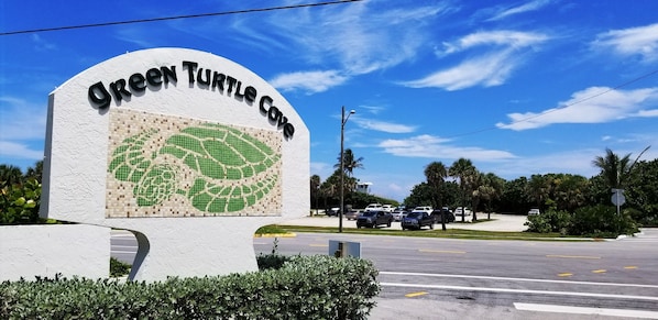 The Turtle Baby!