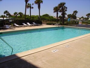 the sparkling pool