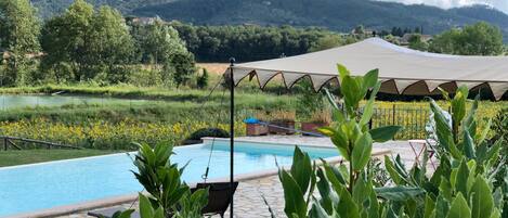 view of the salty swimming pool 