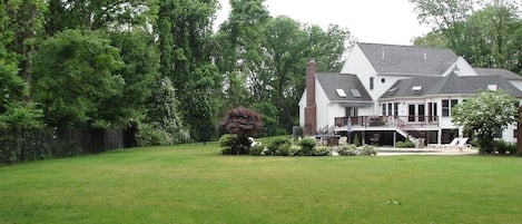 Back yard pool and deck