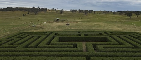 Our private maze availabel to guests to explore and for picnics.