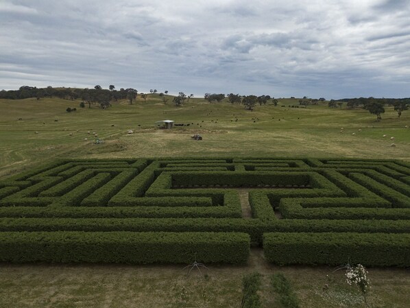 Our private maze availabel to guests to explore and for picnics.