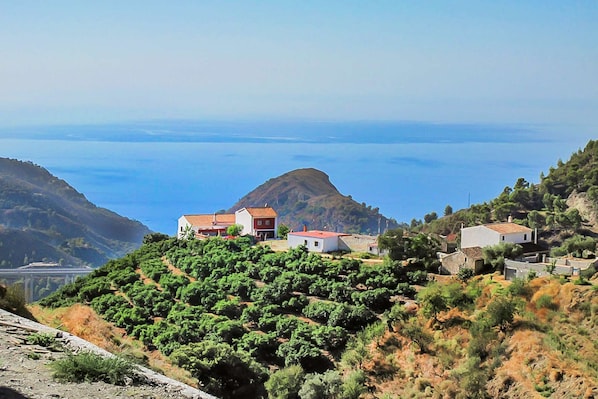 The villa and surroundings