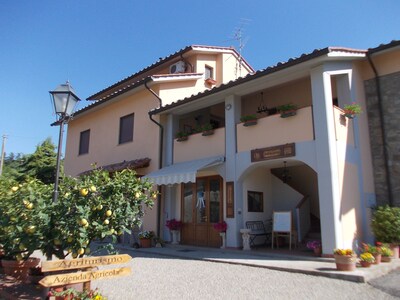 Picture of villa