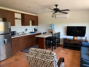 Living area with TV, full kitchen and kitchen bar