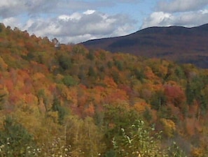 View from the house inFall
