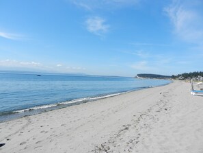 View from deck, looking north