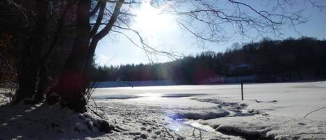 Winter am Kunstteich