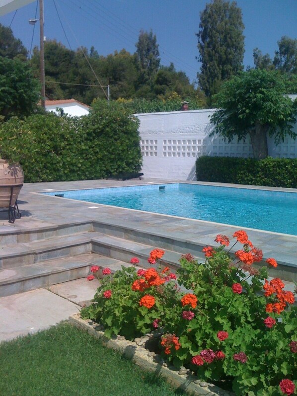 Garden pool view 