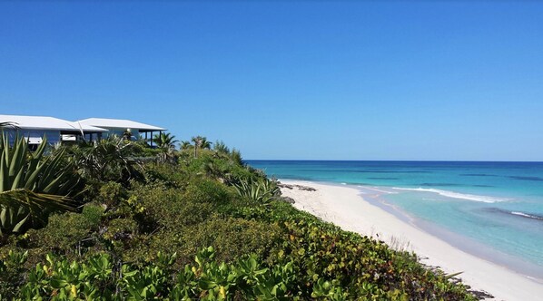 Cayo Loco perched on the point