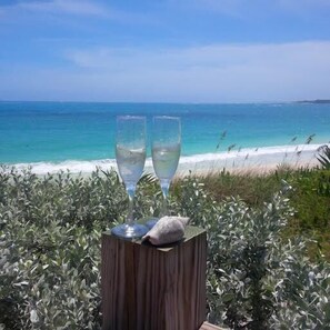 Engagement and Birthday celebrations surfside