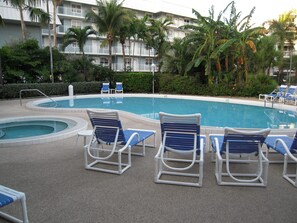 Heated Pool and Jacuzzi