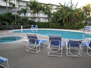 Heated Pool and Jacuzzi