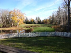 Pastoral view from back deck off kitchen