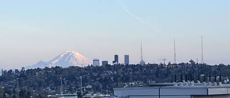 Views from rooftop deck