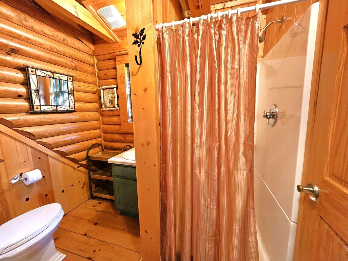 MACKINAW CITY area- LAKE HURON – charming log cabin