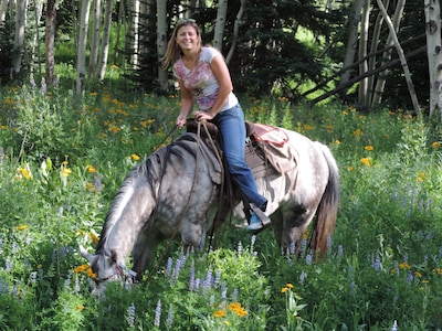 View wild horses-see Dinosaur Nat'l Park/hunt/fish/snowmobile-Craig, Colorado