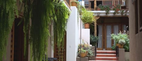 The vicuña studio flat is above the ferns, off the left balcony