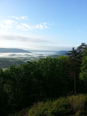 Fog in the valley