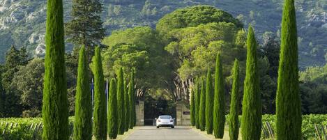 Parco della struttura