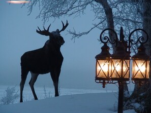 Skidåkning och snöaktiviteter