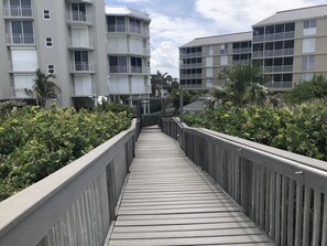 Beautiful boardwalk