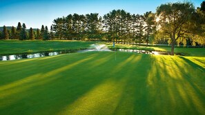 The Pines Golf Course Hole 14