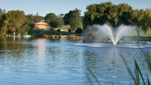 Canoe and Paddleboat Rentals