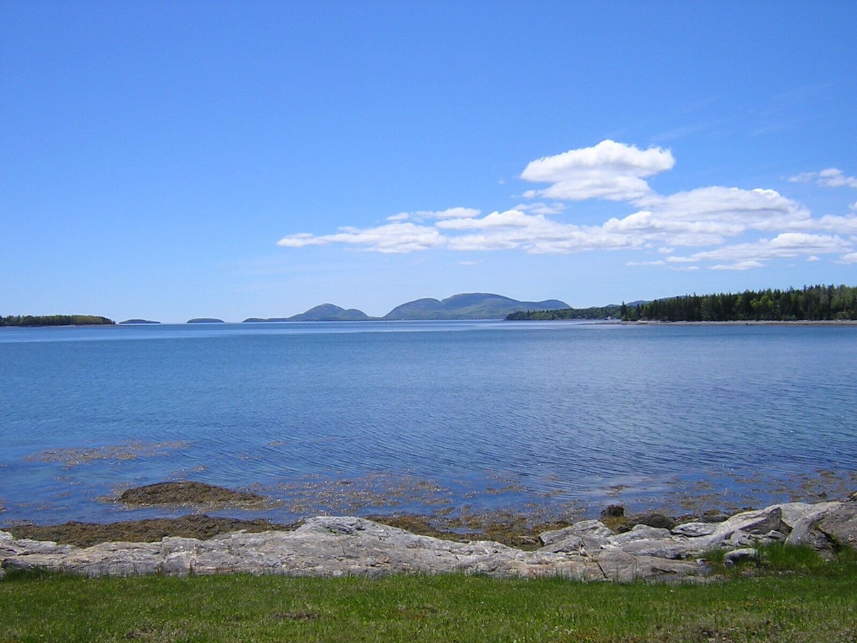 Main Image