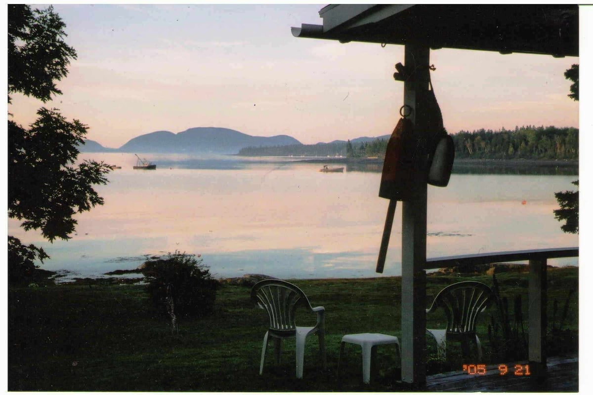 Main Image