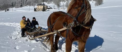 Skidåkning och snöaktiviteter