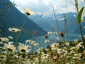 From the grass roof with flowers