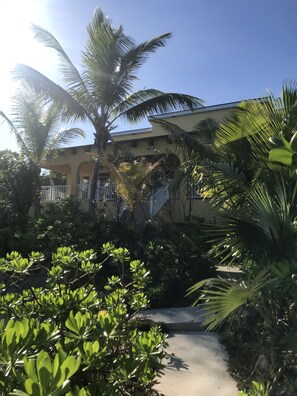 Walk way from jetty back up to house.