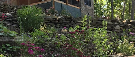 View of cabin from the fire pit