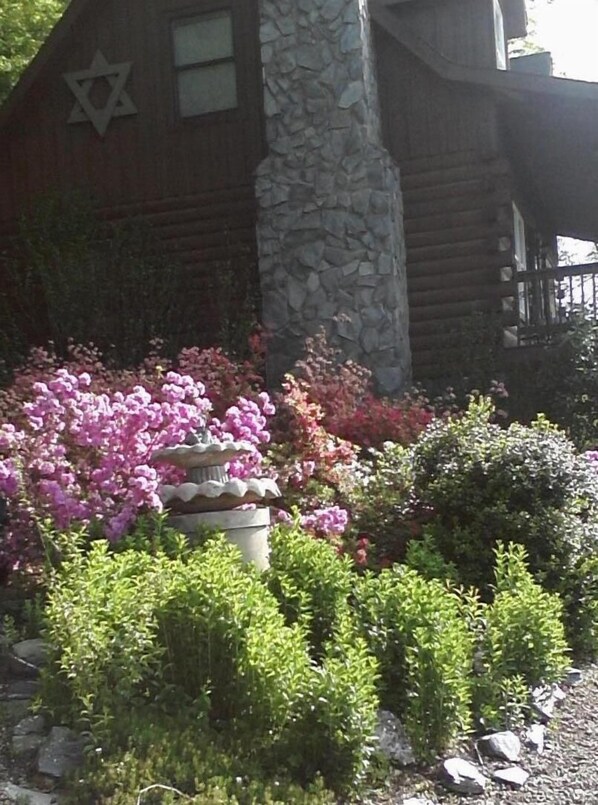 Spring - Mid April and the azaleas are in bloom