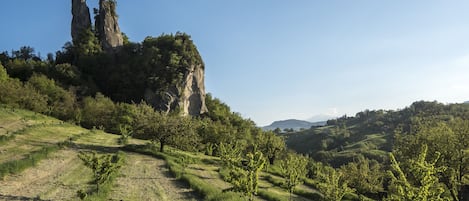 Terrain de l’hébergement 