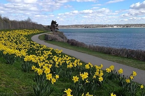 The magnificent Cliff Walk in Newport is less than 30 minutes away.